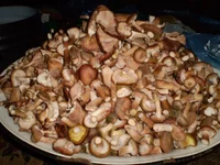 PA090421.jpg