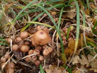 PB060442.jpg