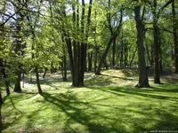 415432908.webp