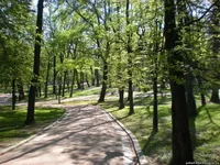 996082034.webp