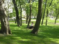 702958347.webp