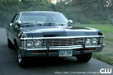 60897956_1277727979_impala.webp