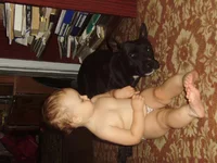 P8010244.webp