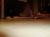 P8220303.webp