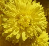 DSCF2091.webp