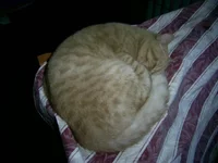PIC_0013.jpg