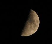 luna2010-2.jpg