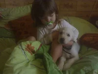  442.webp