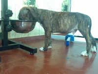 02112010088.webp