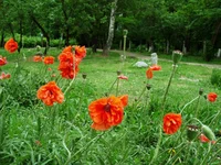 DSC0c4999.webp