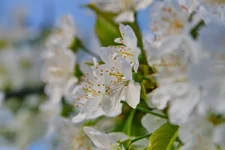 IMG_1890.JPG