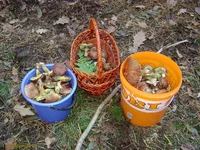 _DSC07491.webp