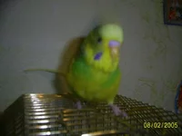PIC_0735.webp