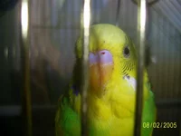 PIC_0729.webp
