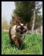 a0556e9425a3d1e178.webp