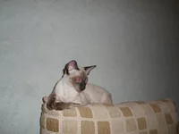 P1010023.webp