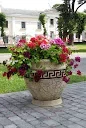 IMGP7006.jpg