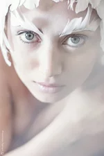 osjkdN60WdI.webp