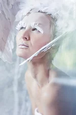 3AwlM8MhxgQ.webp