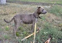 DSC_0007.jpg