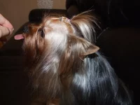 DSCF5921.webp