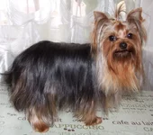 DSCF5932.webp