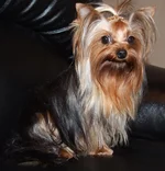  DSCF5918.webp