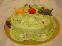 .webp