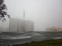 P1000157.webp