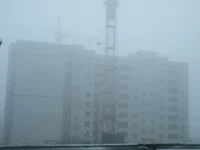 P1000161.webp