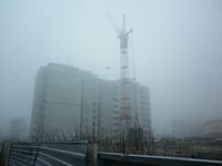 P1000163.JPG