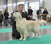Picture 156 m.webp