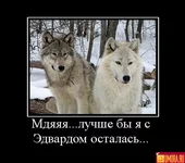 7m92nvaumxlazdjm.webp