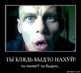 80826-ty_bliadi_bydlo_nahui_ty_ponial_ty_bydlo.webp