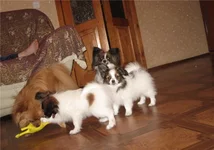  с детьми.webp