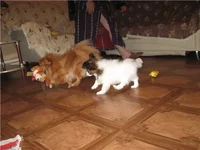  с детьми 2.webp