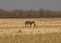 c8c50e9708ef.webp