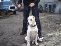 PICT0130.webp