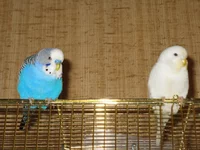 IMG_3117.webp