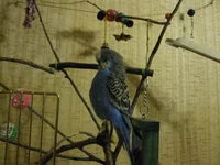 IMG_3124.webp