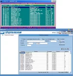 .webp