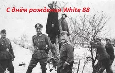 55868f.jpg