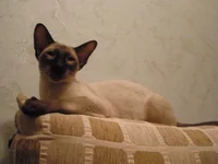 P1010020.webp