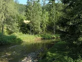 P7070004.webp