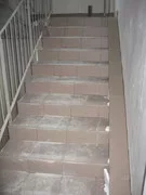 IMG_1161.webp