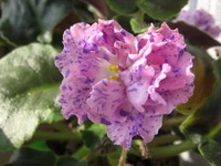 960140_m.webp