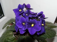 PB200050.webp