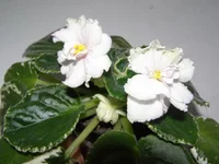 PB200070.webp