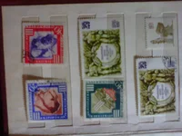 IMG0161A.jpg