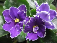 -Александра_9215.webp